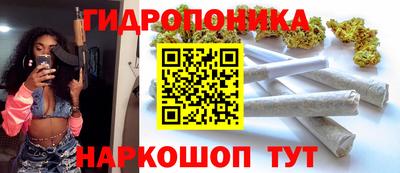 шишки Нарткала