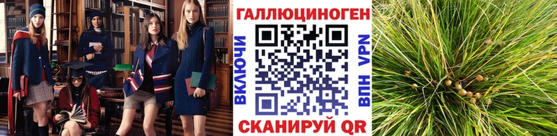 мега ONION  Ульяновск  Галлюциногенные грибы GOLDEN TEACHER 