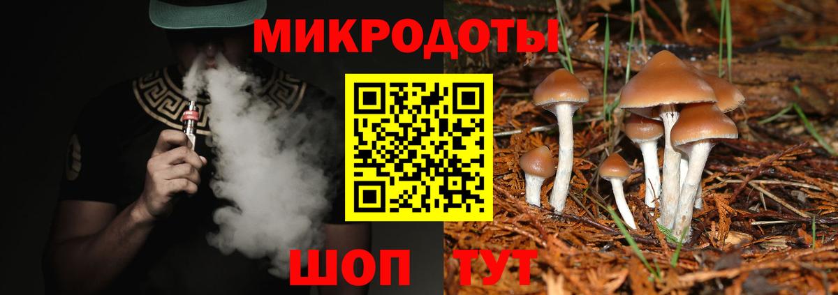 Псилоцибиновые грибы Magic Shrooms  Вход с VPN  магазин    Ульяновск  Галлюциногенные грибы Psilocybine cubensis 